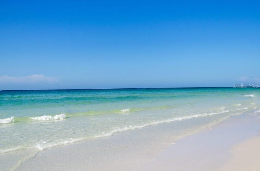 3350 S OSPREY AVE #209A, SARASOTA, FL, 34239