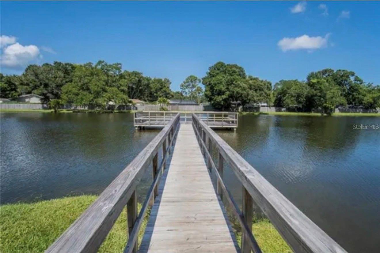 3815 N OAK DR #G71, TAMPA, FL, 33611