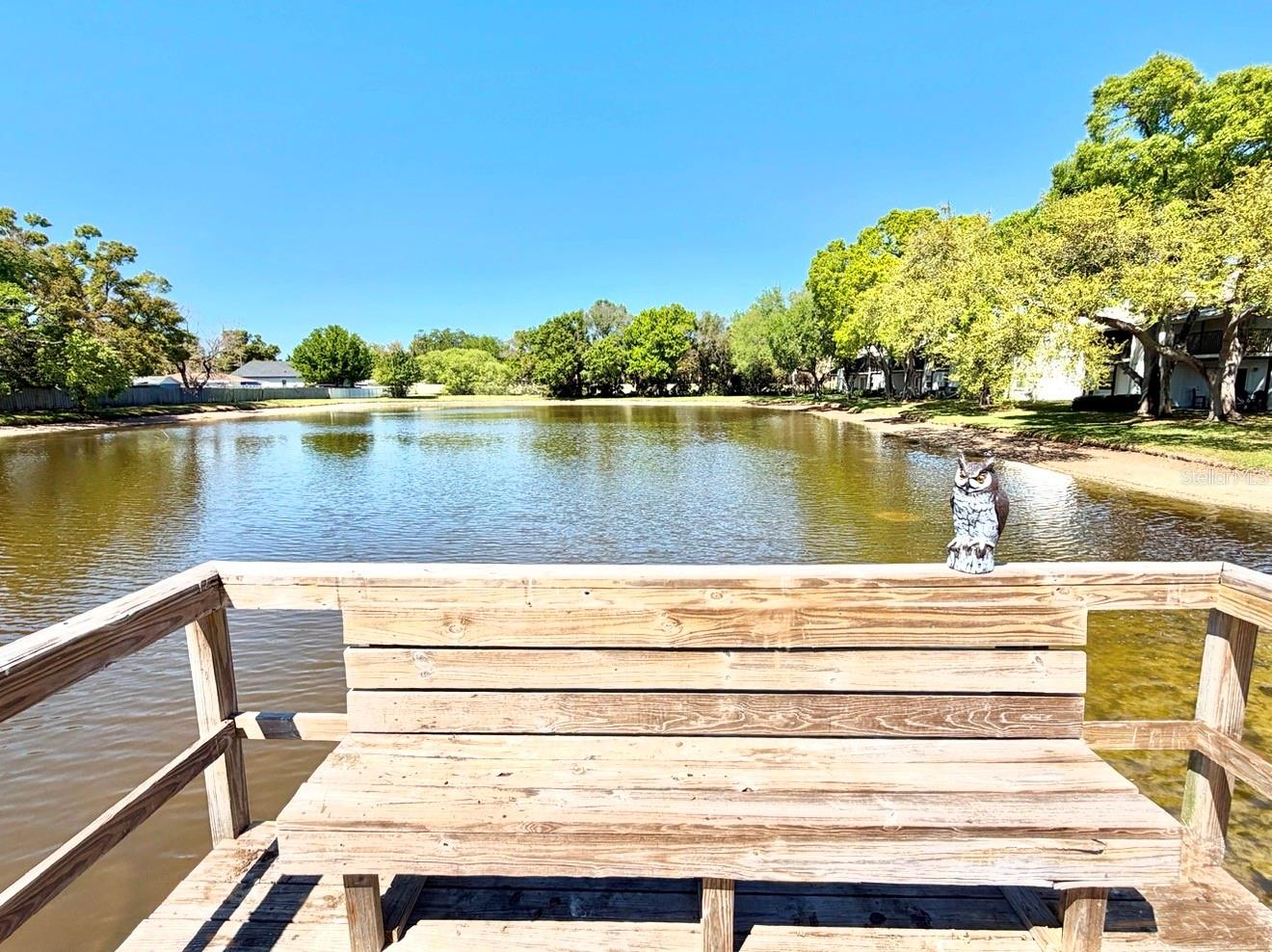 3815 N OAK DR #G71, TAMPA, FL, 33611