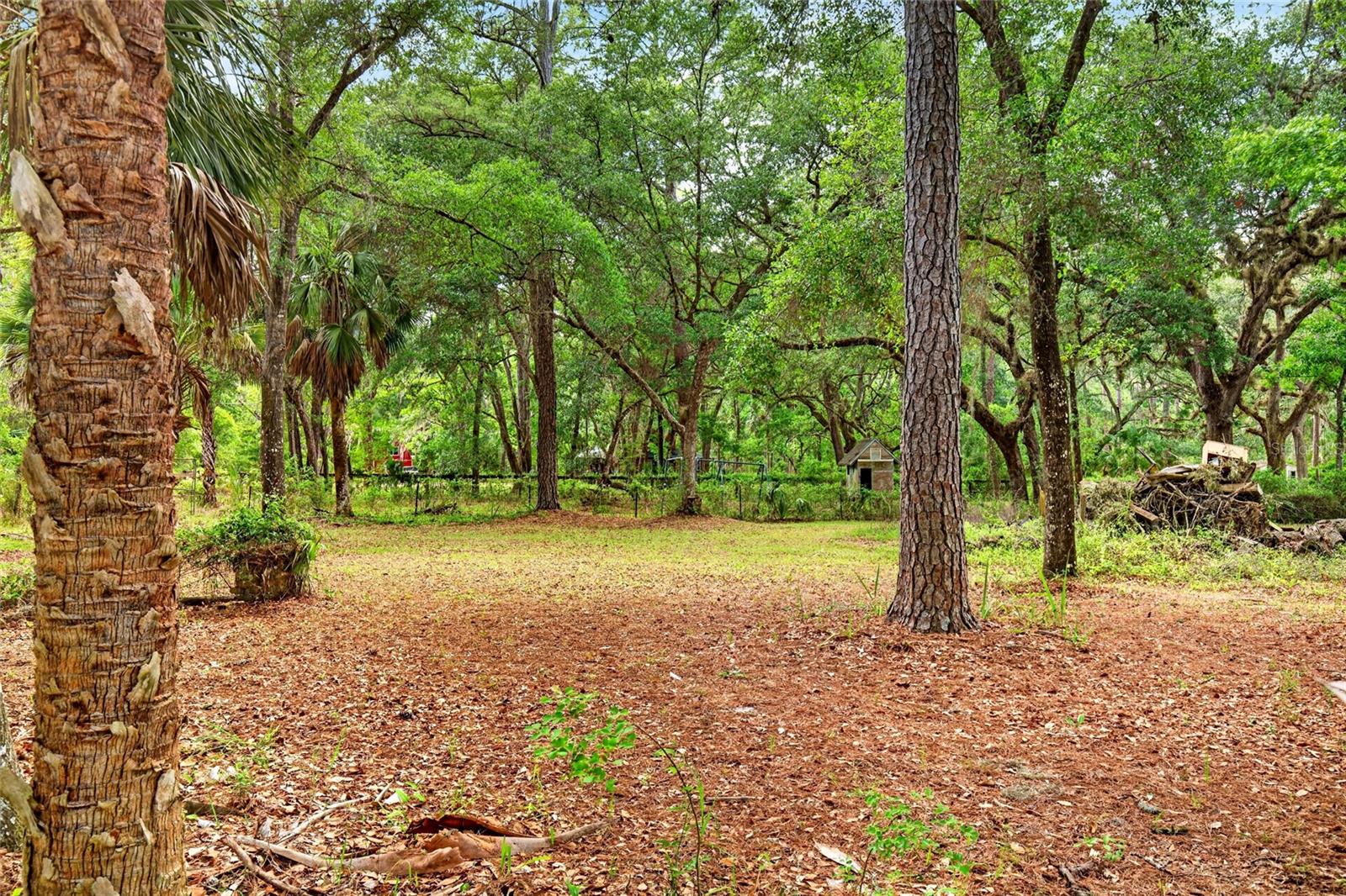 9190 NE 144TH TER, SILVER SPRINGS, FL, 34488