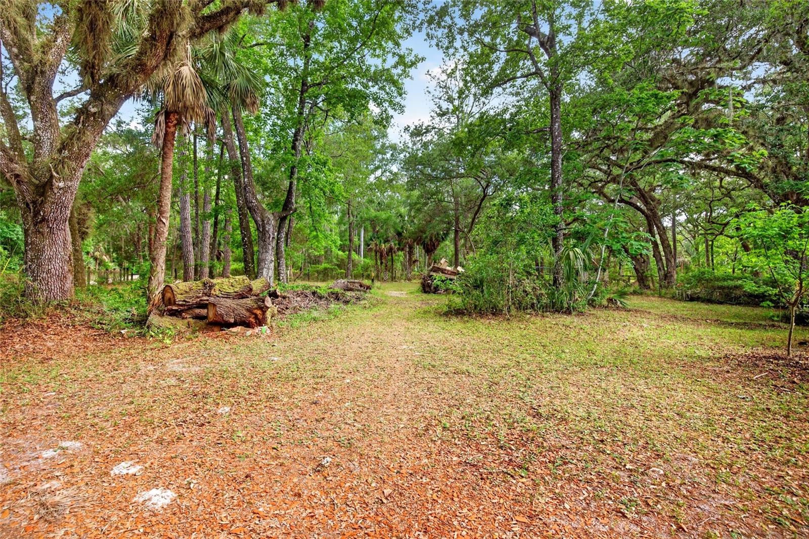 9190 NE 144TH TER, SILVER SPRINGS, FL, 34488