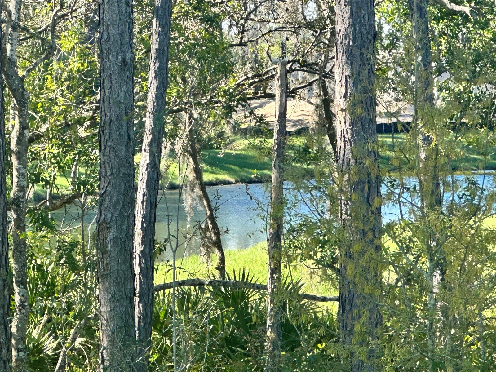 18386 OLIVER TWIST WAY, WINTER GARDEN, FL, 34787