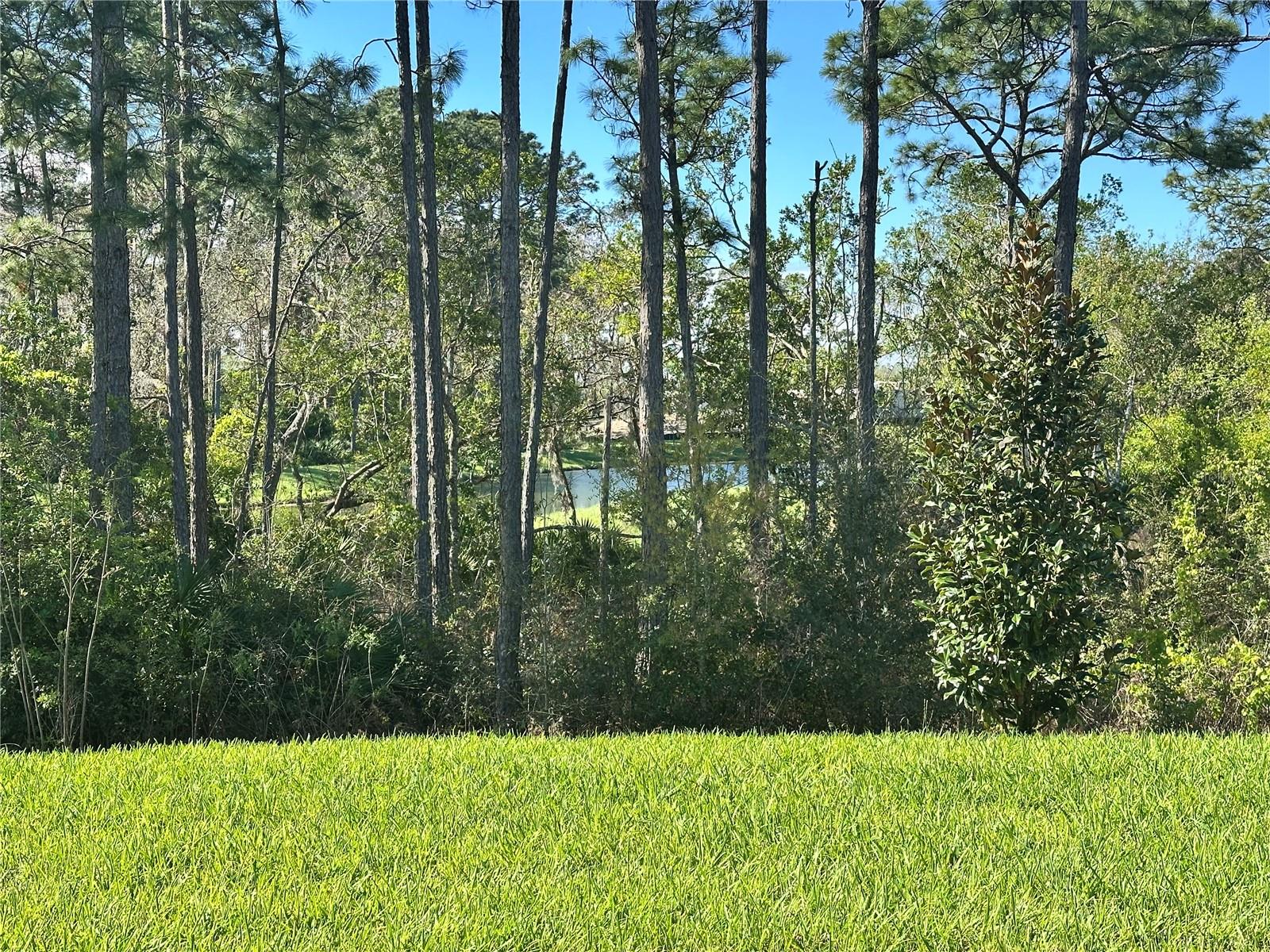 18386 OLIVER TWIST WAY, WINTER GARDEN, FL, 34787