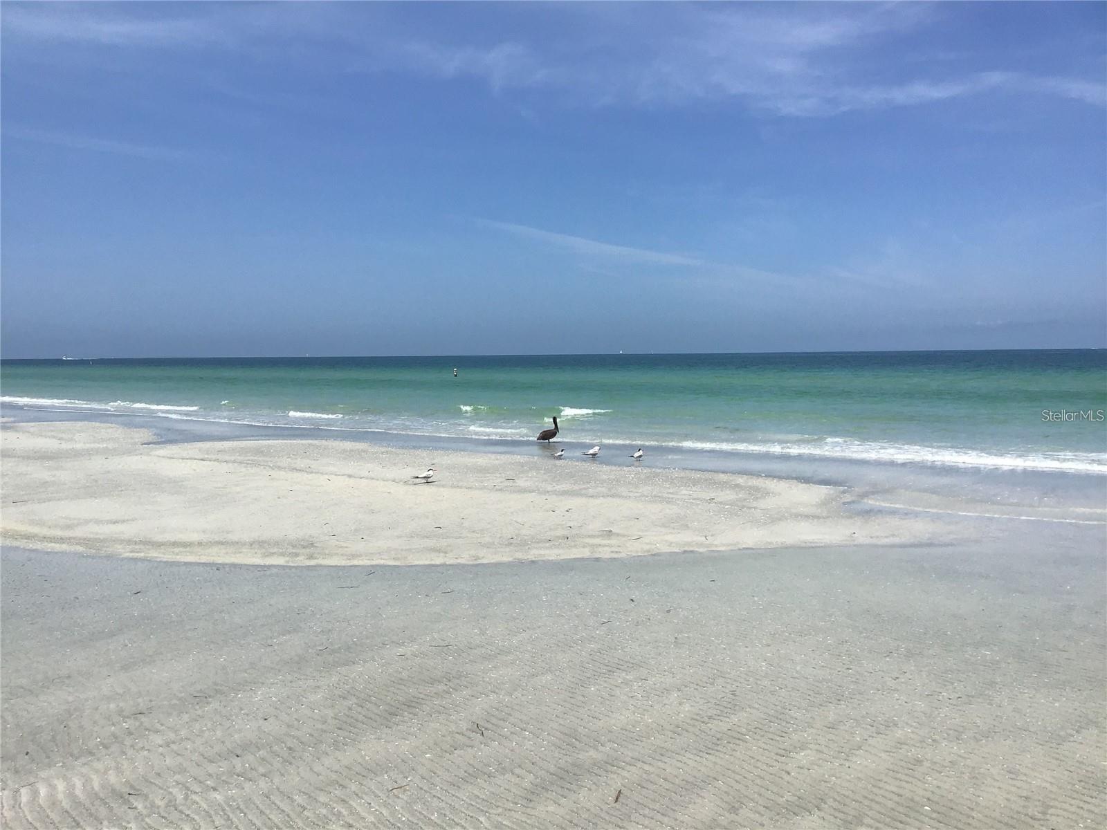 1460 GULF BLVD #308, CLEARWATER BEACH, FL, 33767