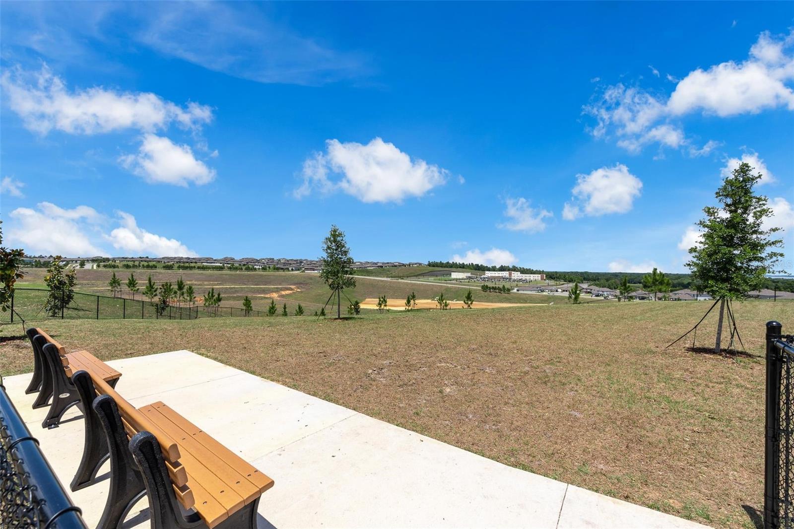 2019 SUNSHINE PEAK DR, MINNEOLA, FL, 34715