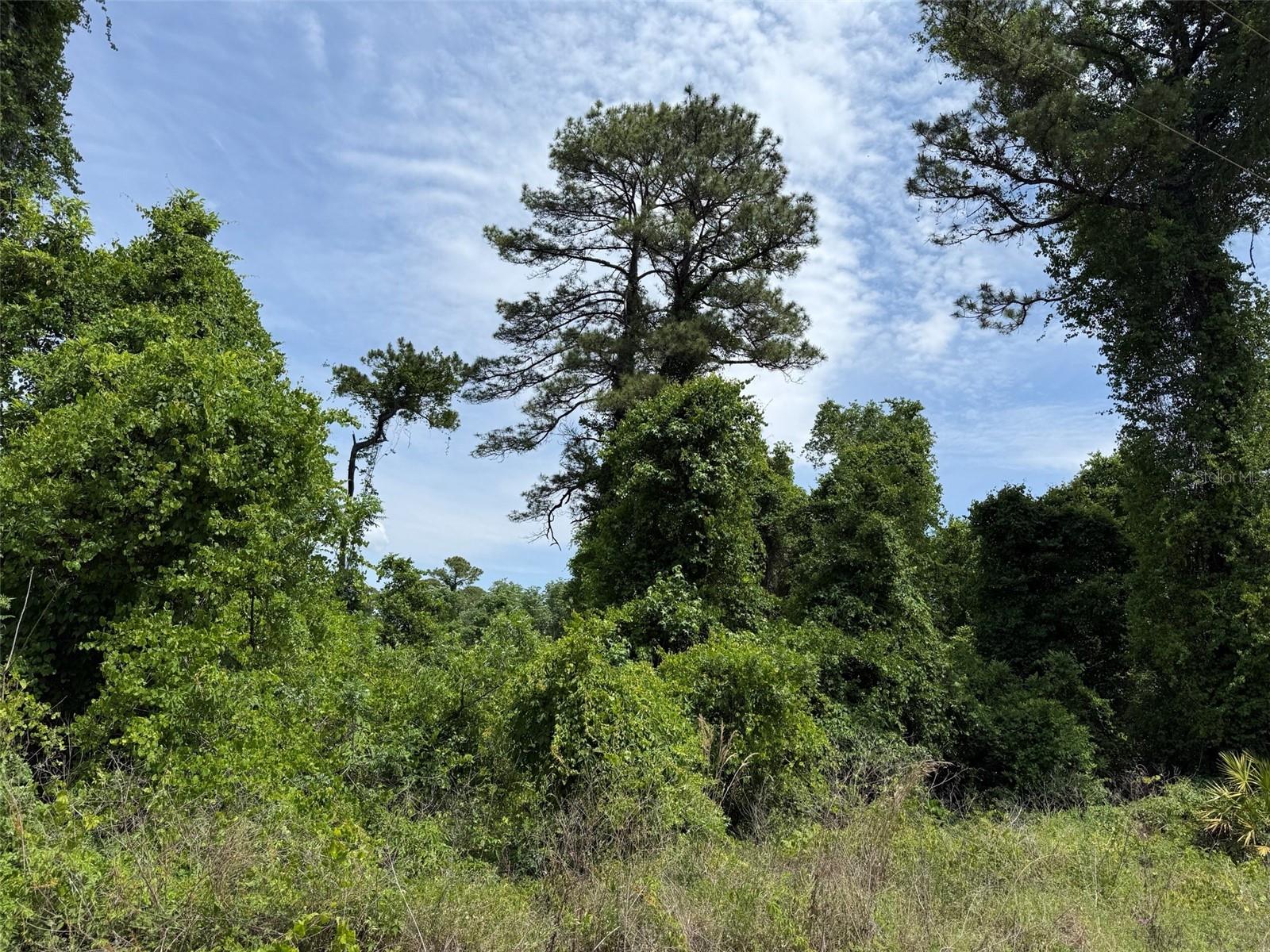 000 FOLKLORE DR, SATSUMA, FL, 32189