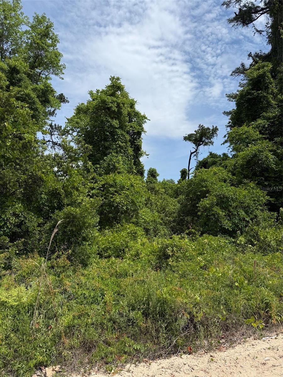 000 FOLKLORE DR, SATSUMA, FL, 32189