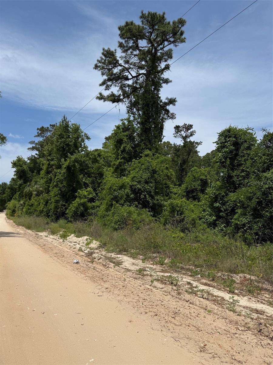 000 FOLKLORE DR, SATSUMA, FL, 32189