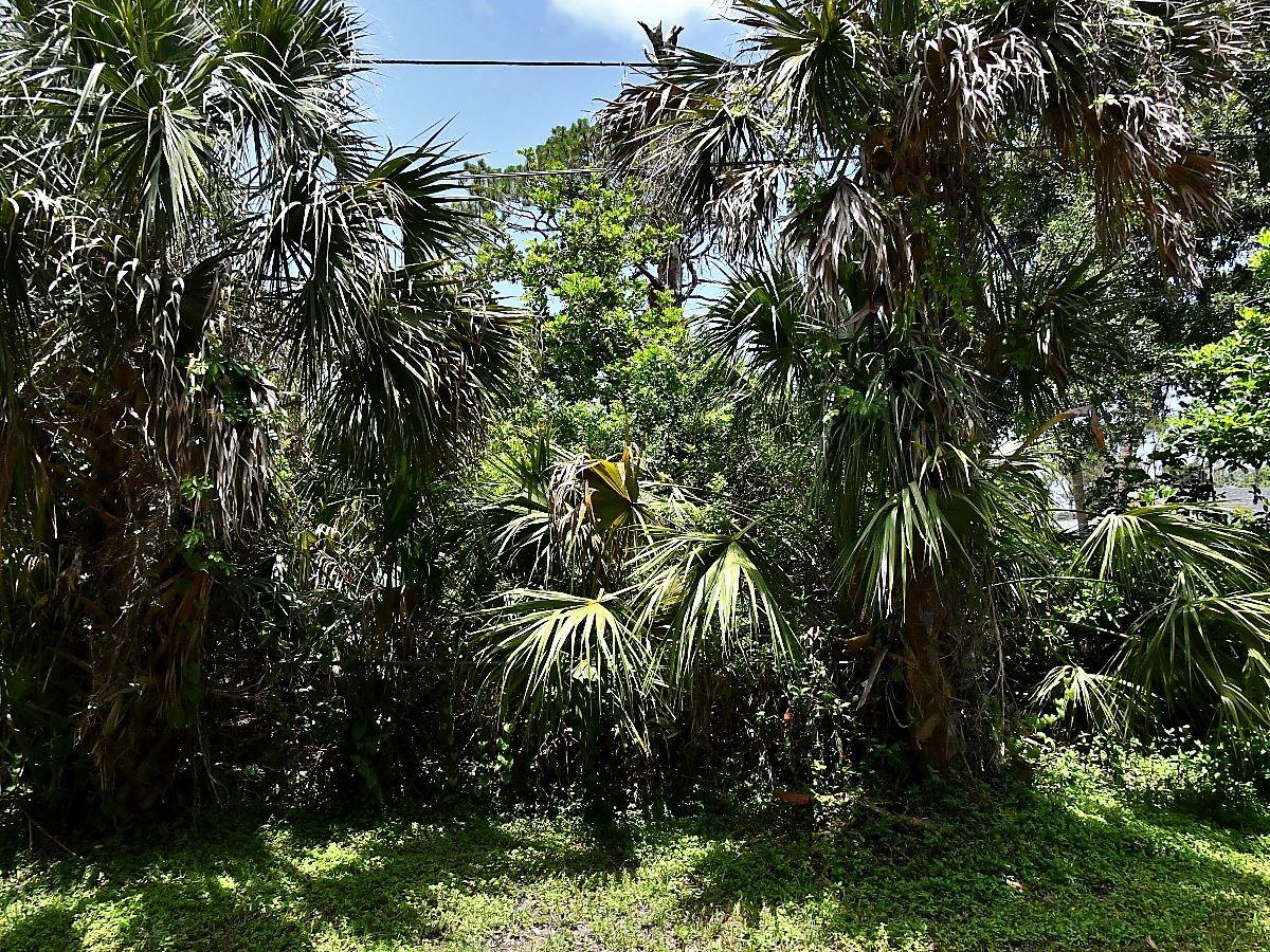 GLENWOOD AVE, OSPREY, FL, 34229