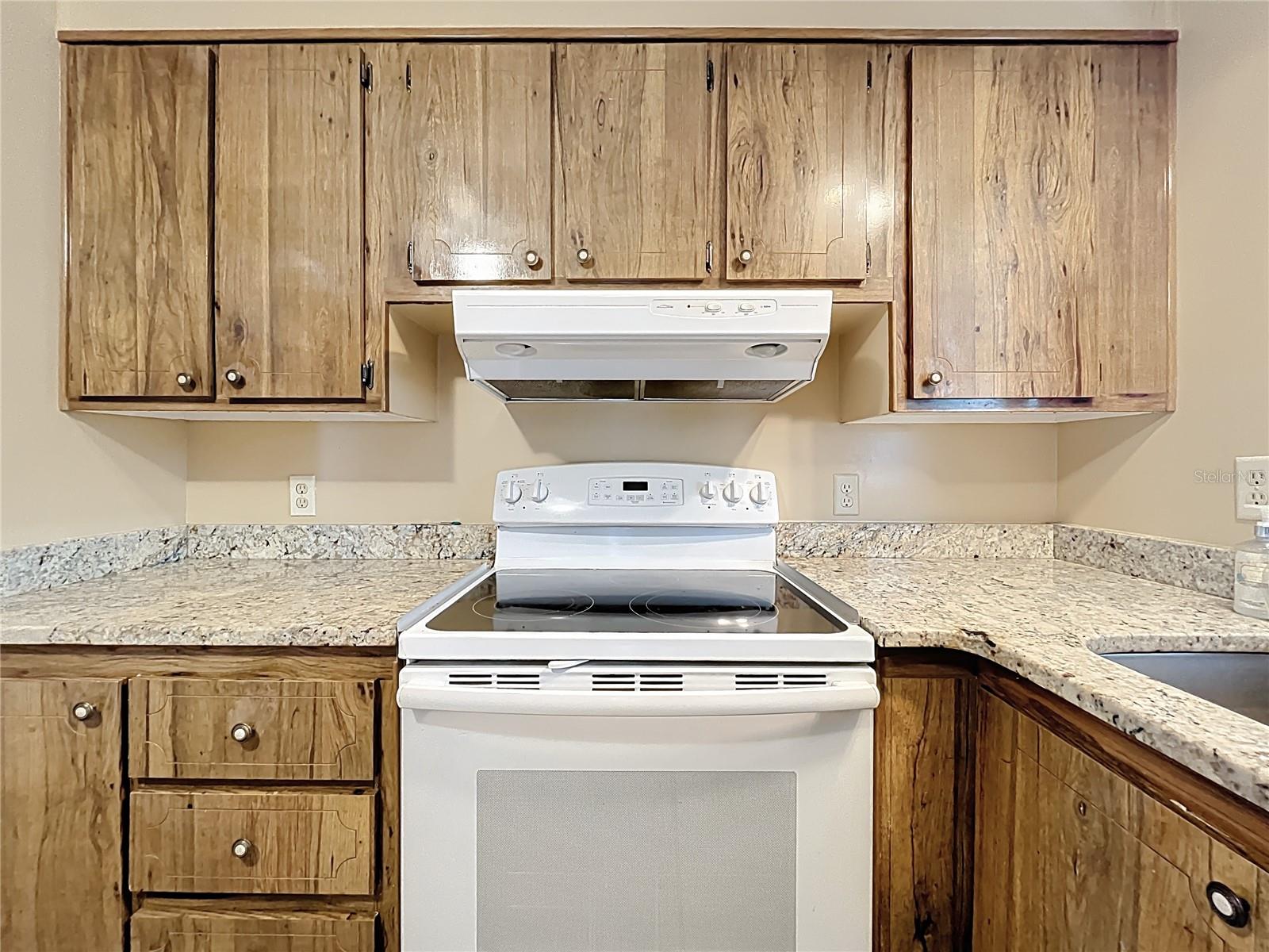 1440 NASSAU CIR, TAVARES, FL, 32778