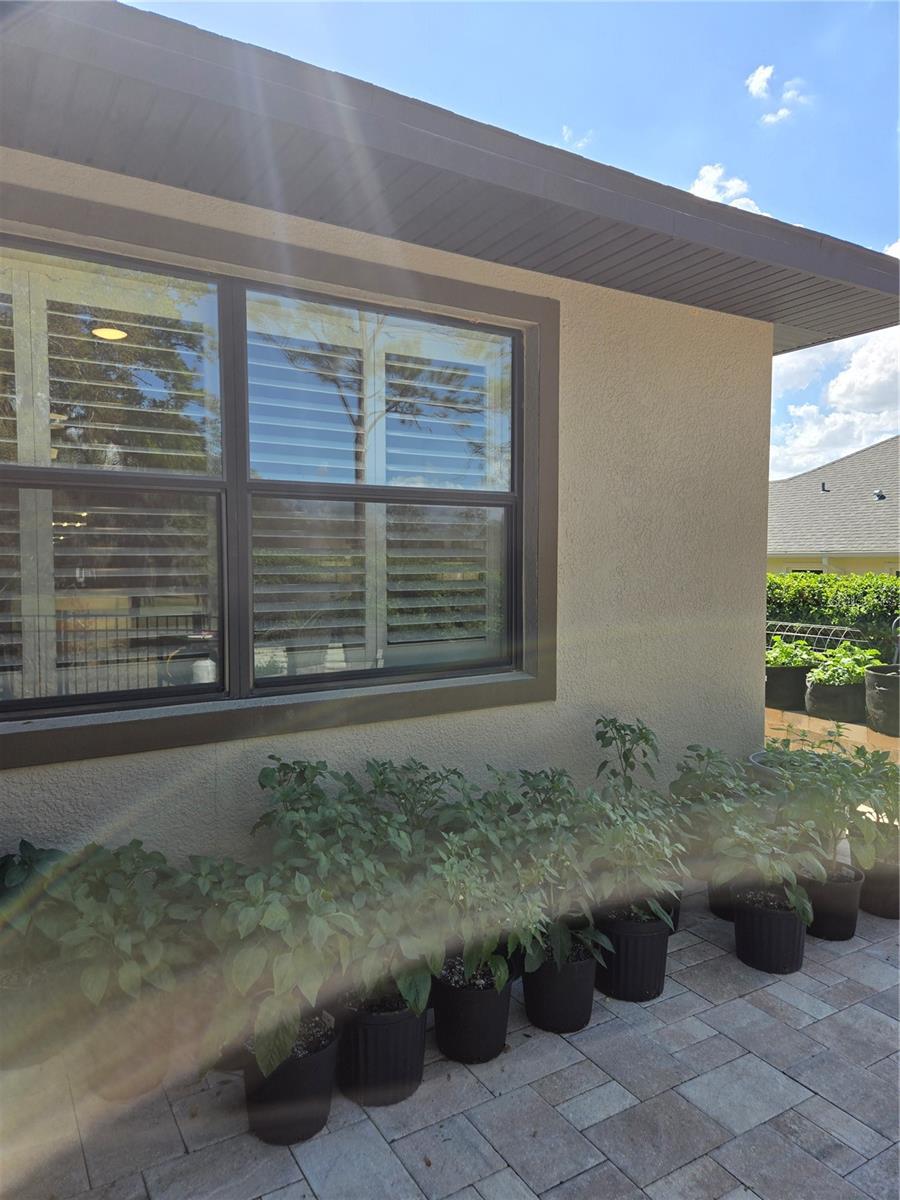 5084 GREENS DR, LADY LAKE, FL, 32159