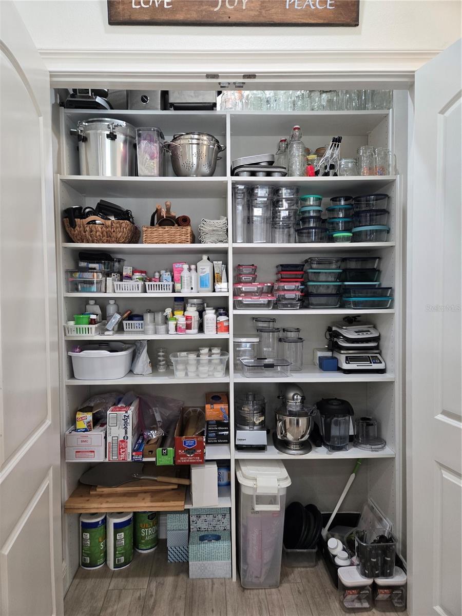 5084 GREENS DR, LADY LAKE, FL, 32159