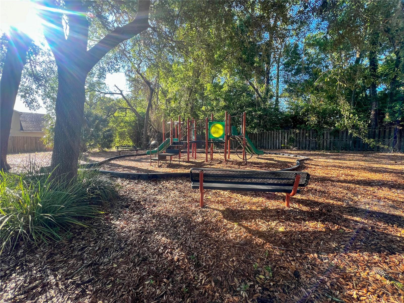 2507 WALNUT HEIGHTS RD, APOPKA, FL, 32703