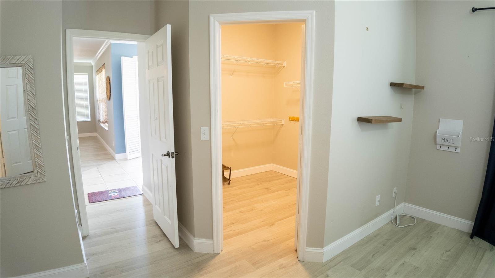 2507 WALNUT HEIGHTS RD, APOPKA, FL, 32703