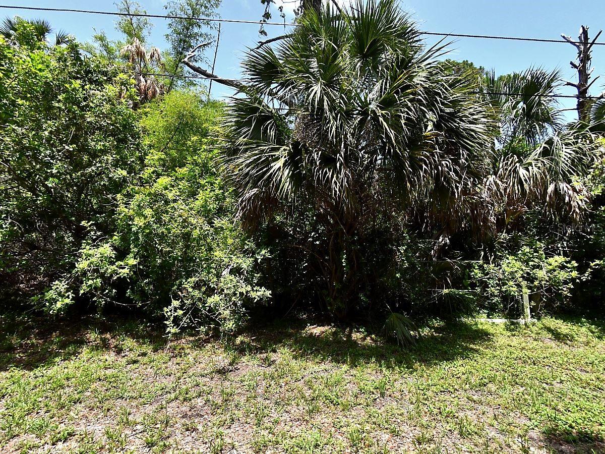 GLENWOOD AVE, OSPREY, FL, 34229