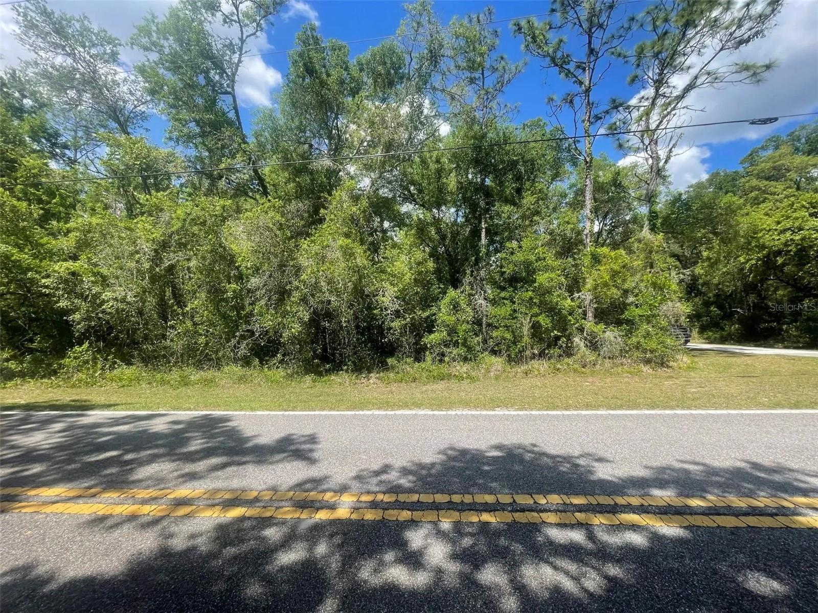 0 HAAS DR, WEBSTER, FL, 33597