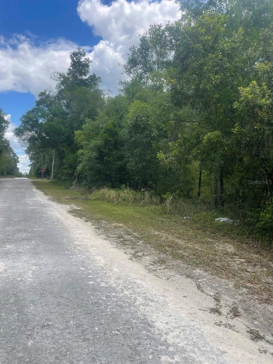 0 HAAS DR, WEBSTER, FL, 33597