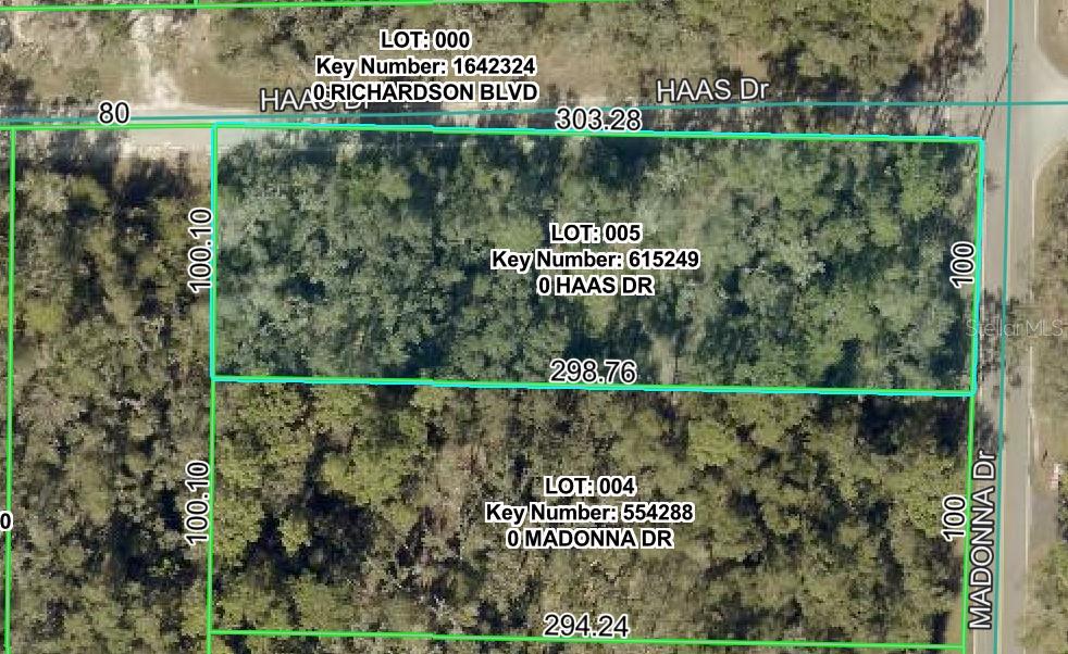 0 HAAS DR, WEBSTER, FL, 33597