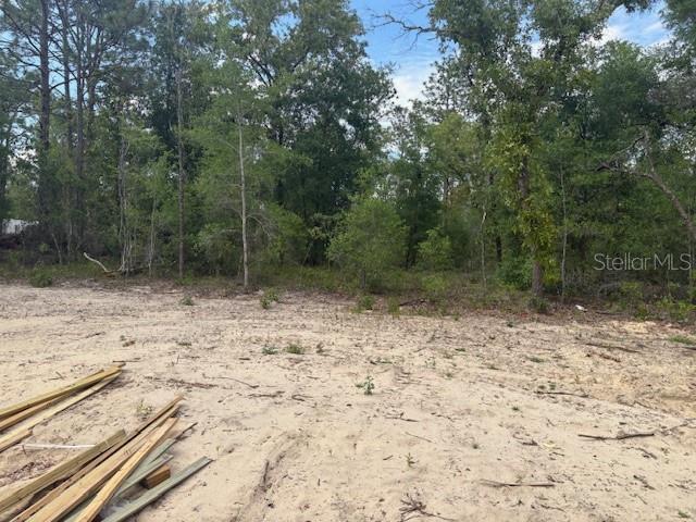 12815 SW 94TH LN, DUNNELLON, FL, 34432