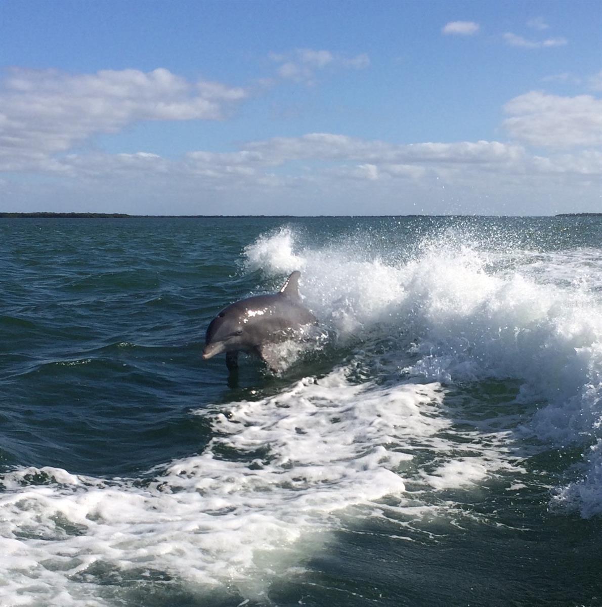 8310 GRAND AVE, PLACIDA, FL, 33946