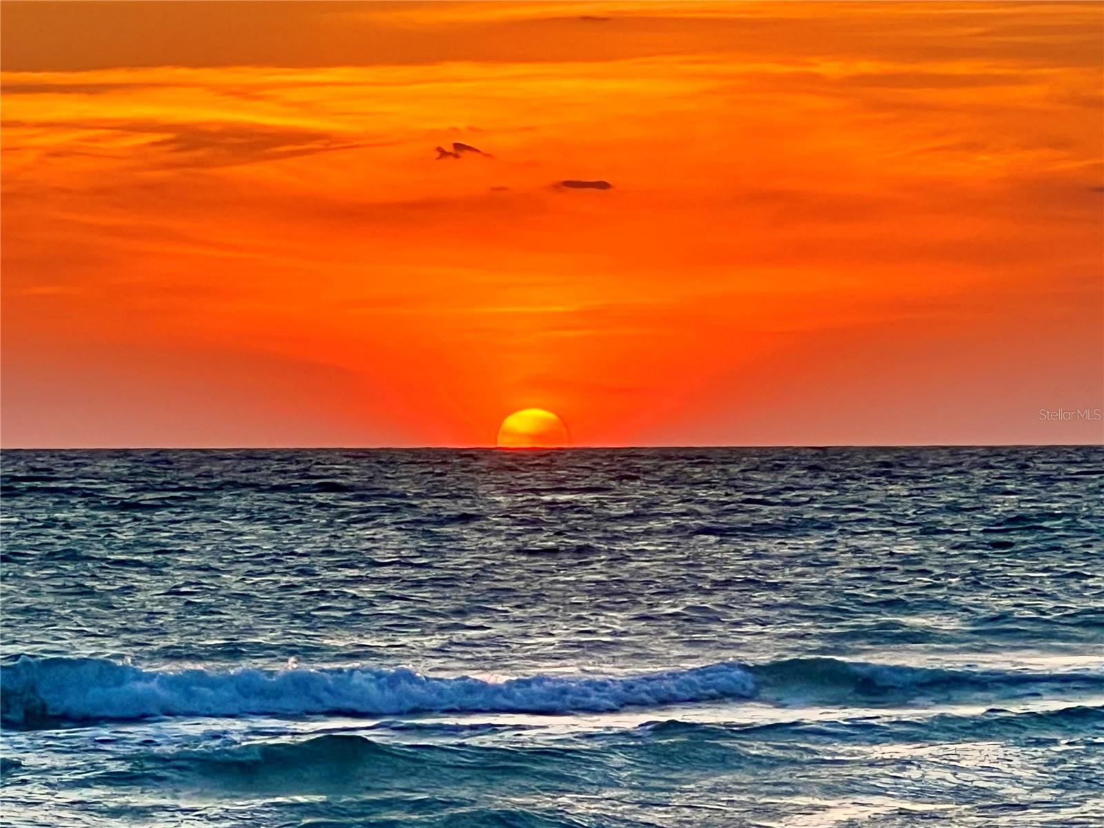 8310 GRAND AVE, PLACIDA, FL, 33946