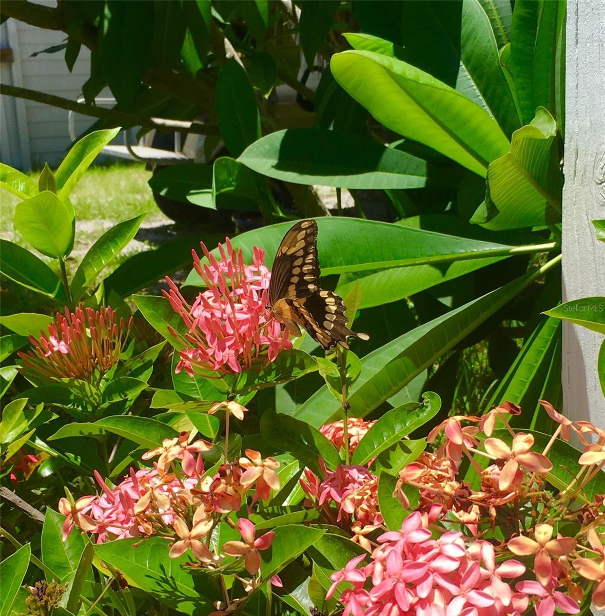 8310 GRAND AVE, PLACIDA, FL, 33946