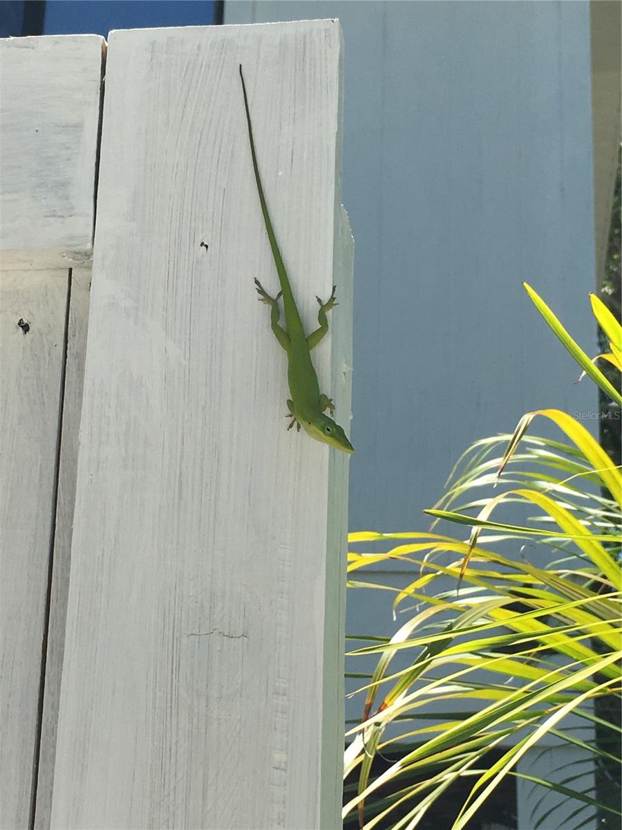 8310 GRAND AVE, PLACIDA, FL, 33946