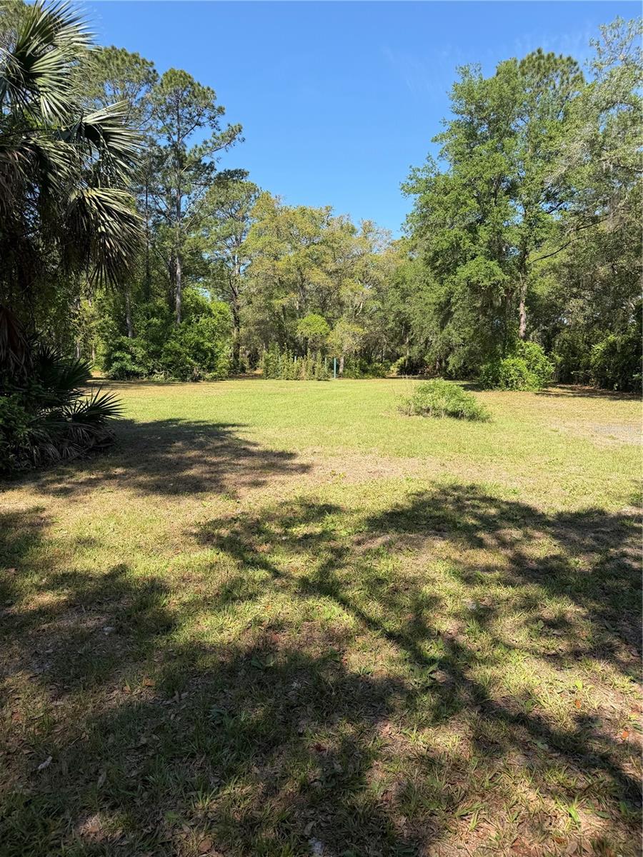 SE 180TH AVENUE RD, OCKLAWAHA, FL, 32179