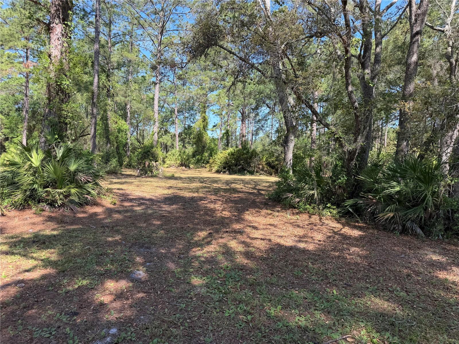 SE 180TH AVENUE RD, OCKLAWAHA, FL, 32179