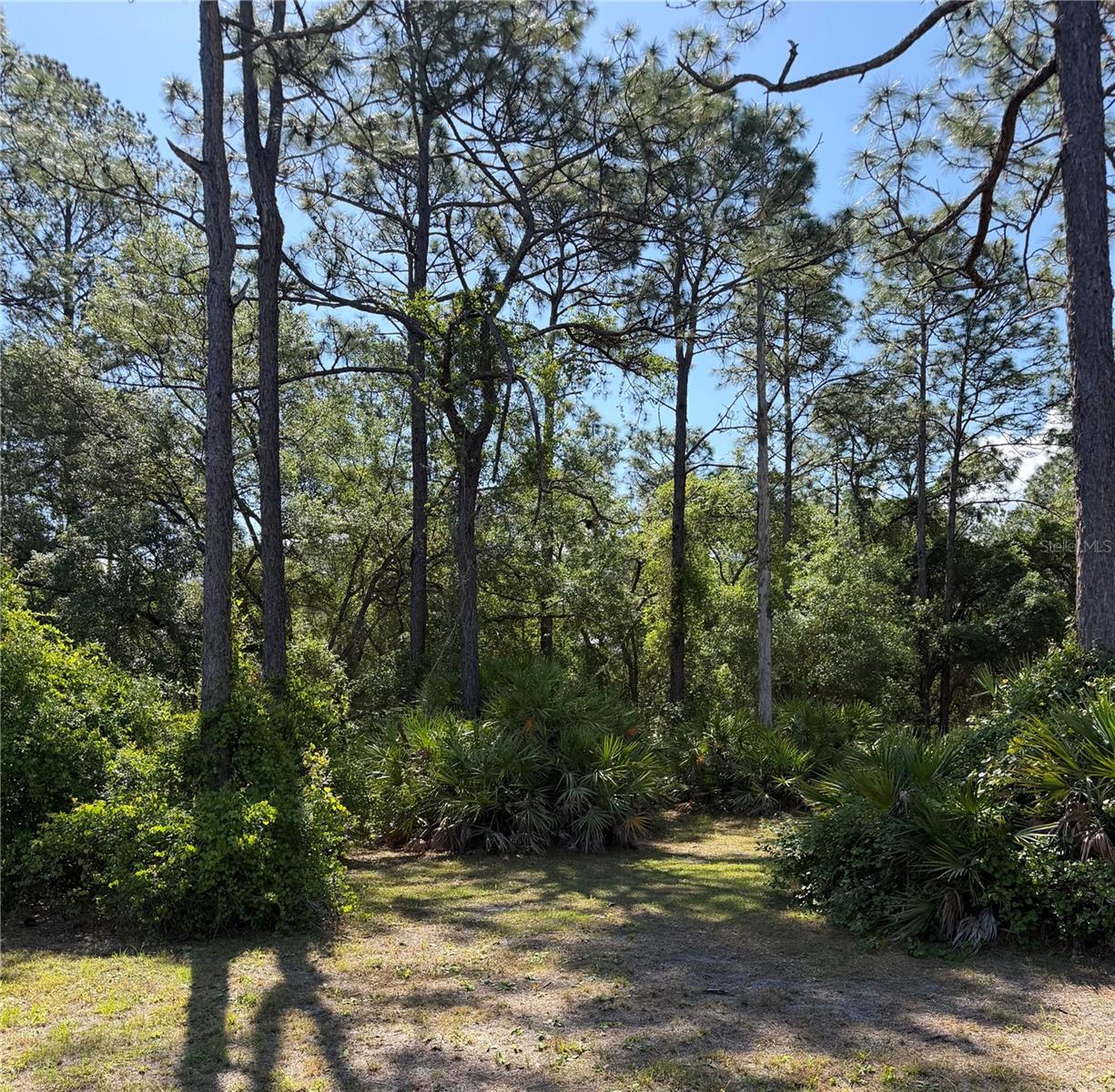 SE 180TH AVENUE RD, OCKLAWAHA, FL, 32179