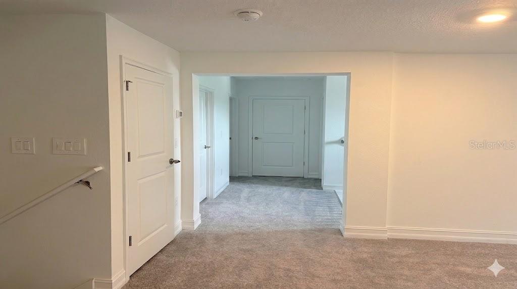 18378 SERENE LAKE LOOP, LUTZ, FL, 33548