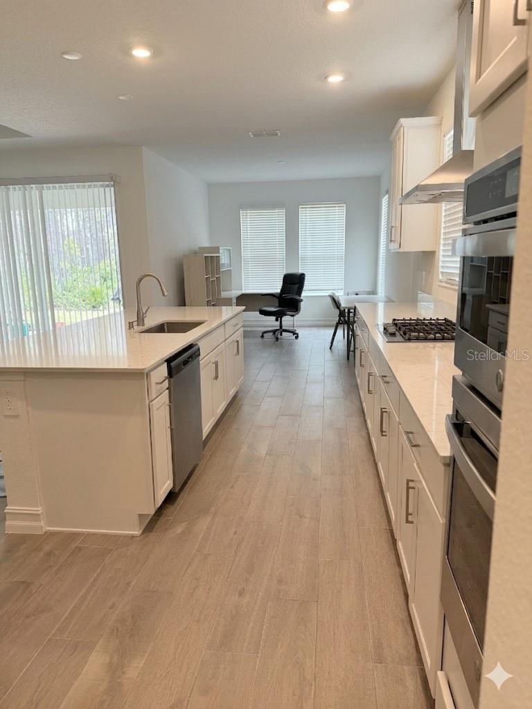 18378 SERENE LAKE LOOP, LUTZ, FL, 33548