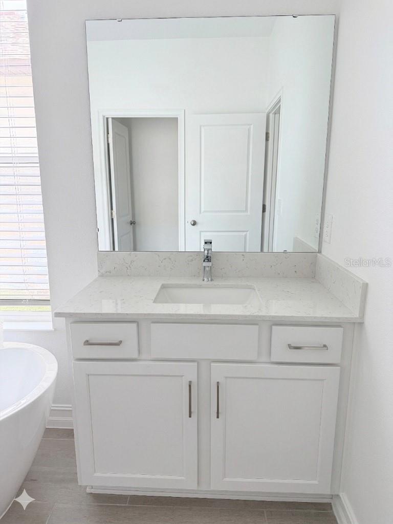 18378 SERENE LAKE LOOP, LUTZ, FL, 33548