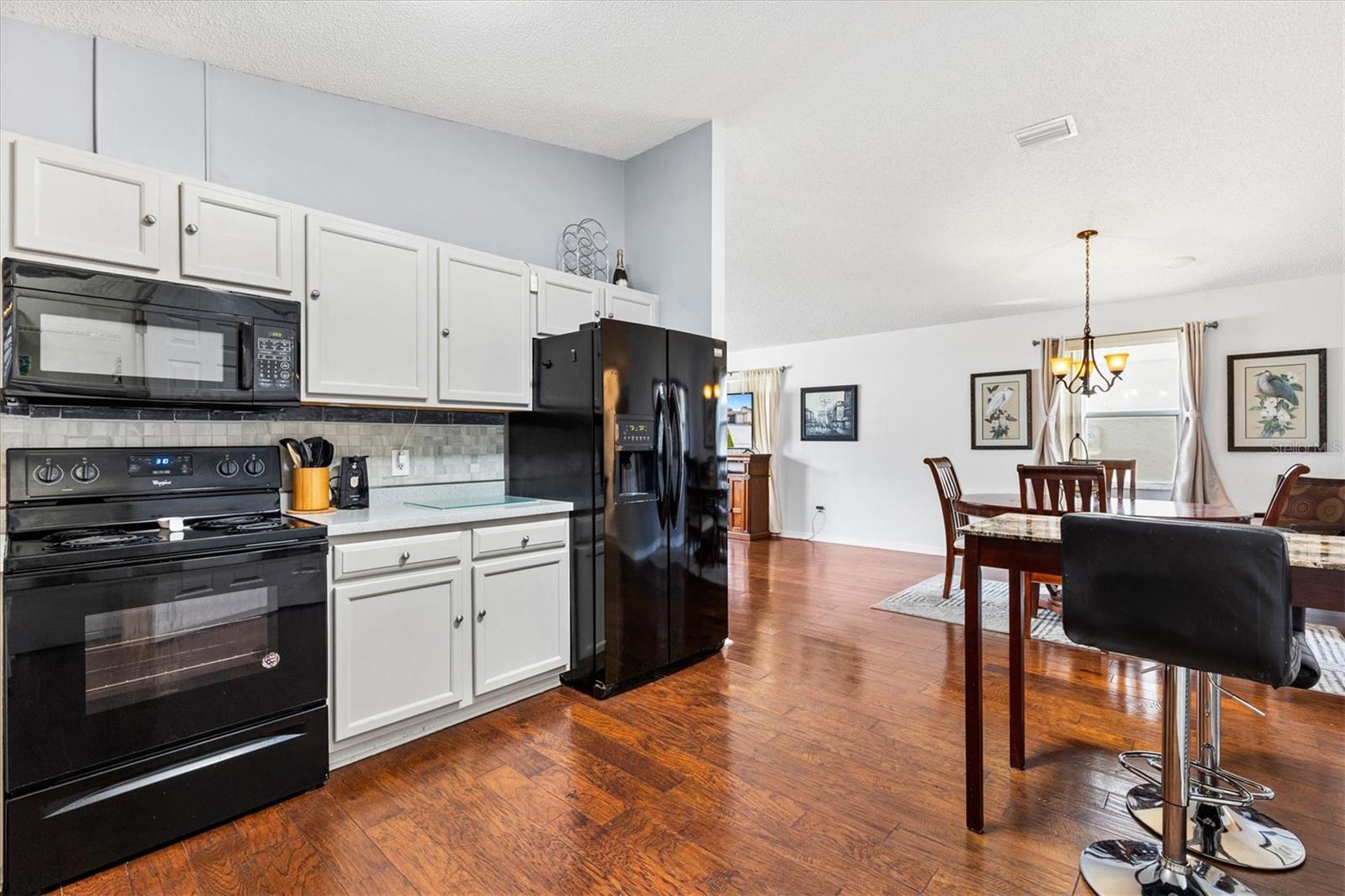 406 DEL MAR DR, THE VILLAGES, FL, 32159