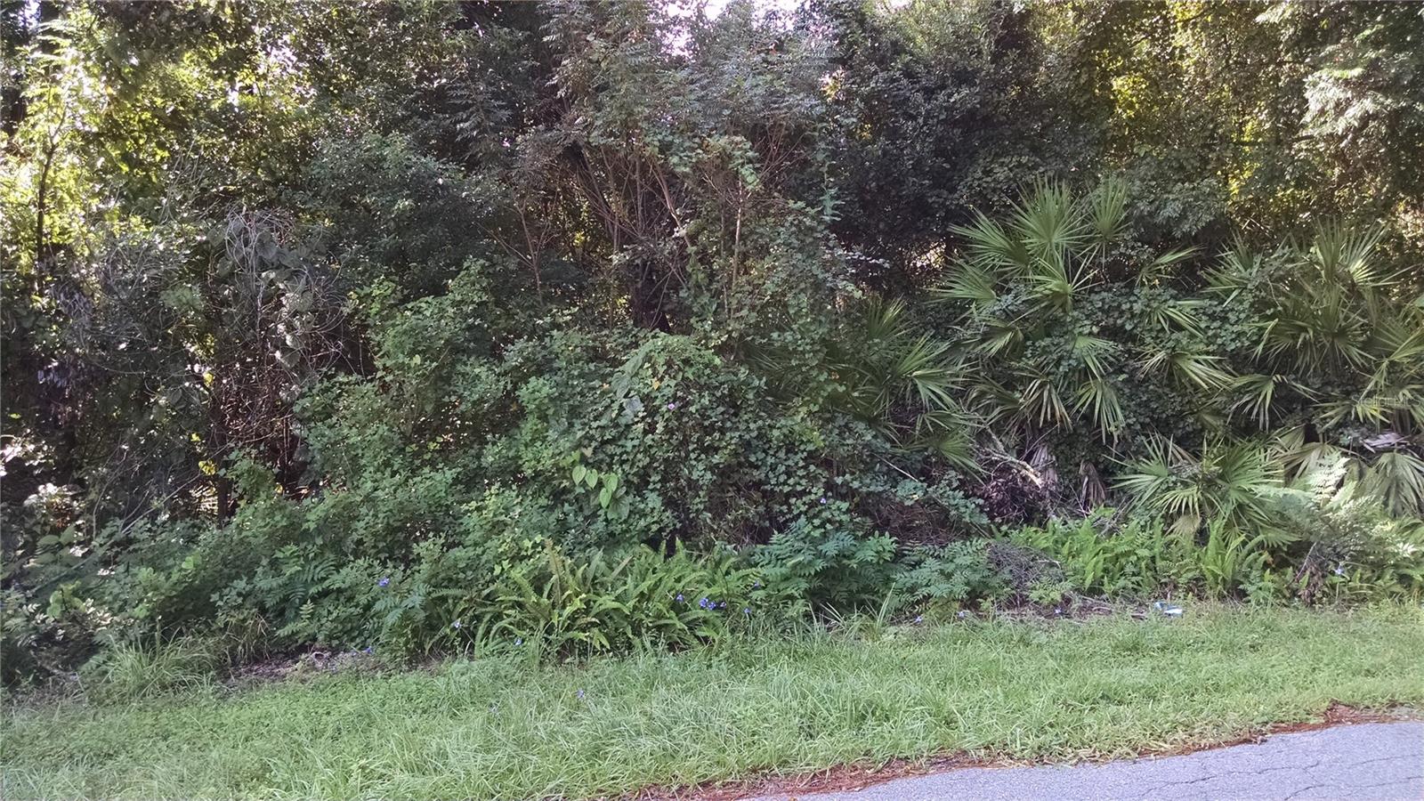 1361 HOWLAND BLVD, DELTONA, FL, 32738