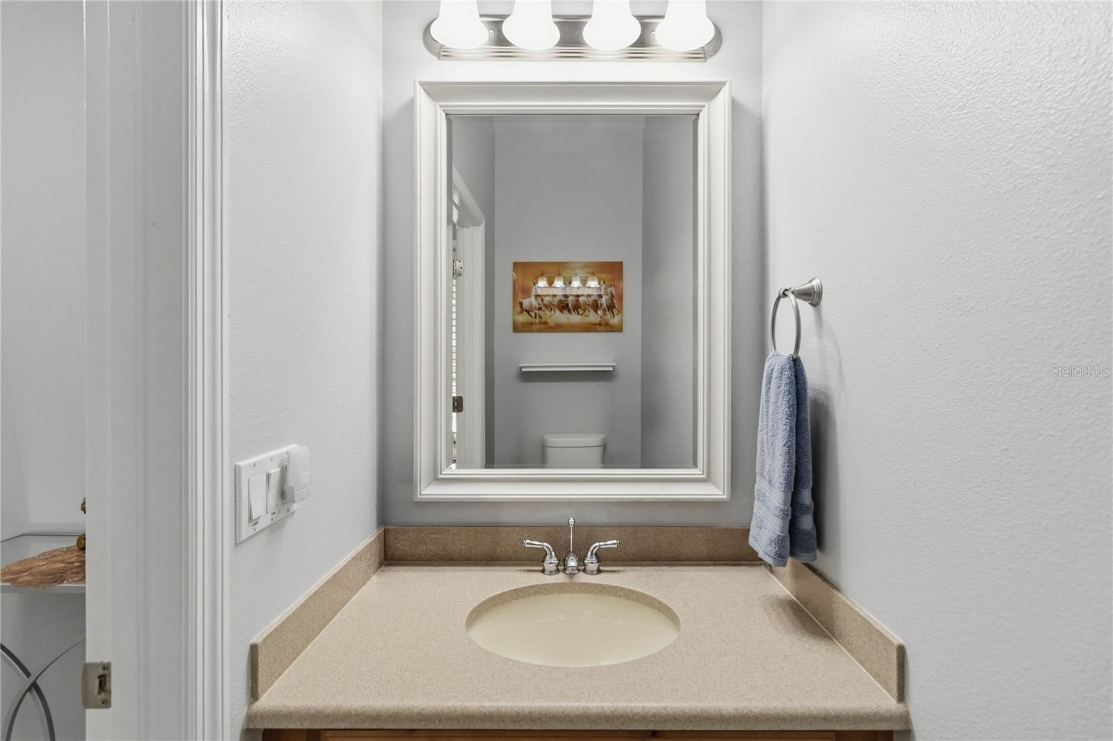 2107 VELVET LEAF DR, OCOEE, FL, 34761