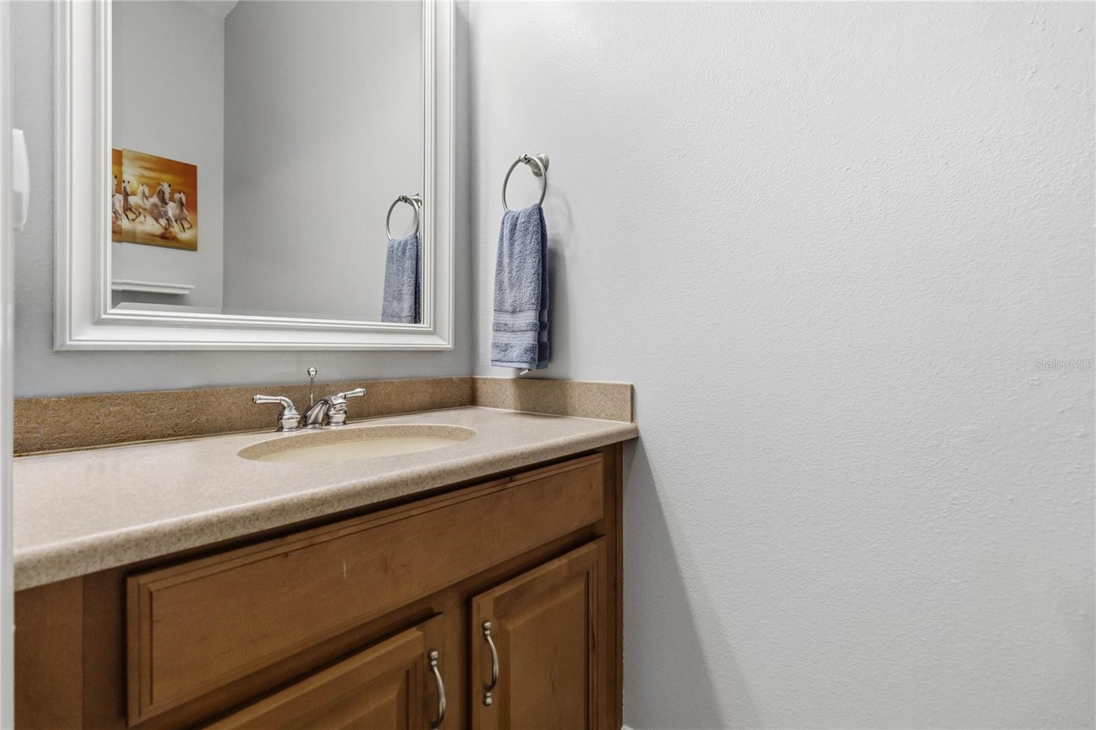 2107 VELVET LEAF DR, OCOEE, FL, 34761