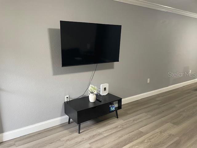 5221 BAYSHORE BLVD #1, TAMPA, FL, 33611