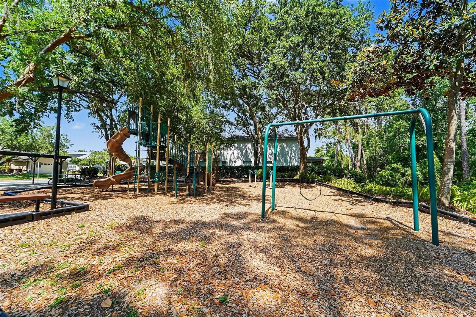 19717 WYNDHAM LAKES DR, ODESSA, FL, 33556
