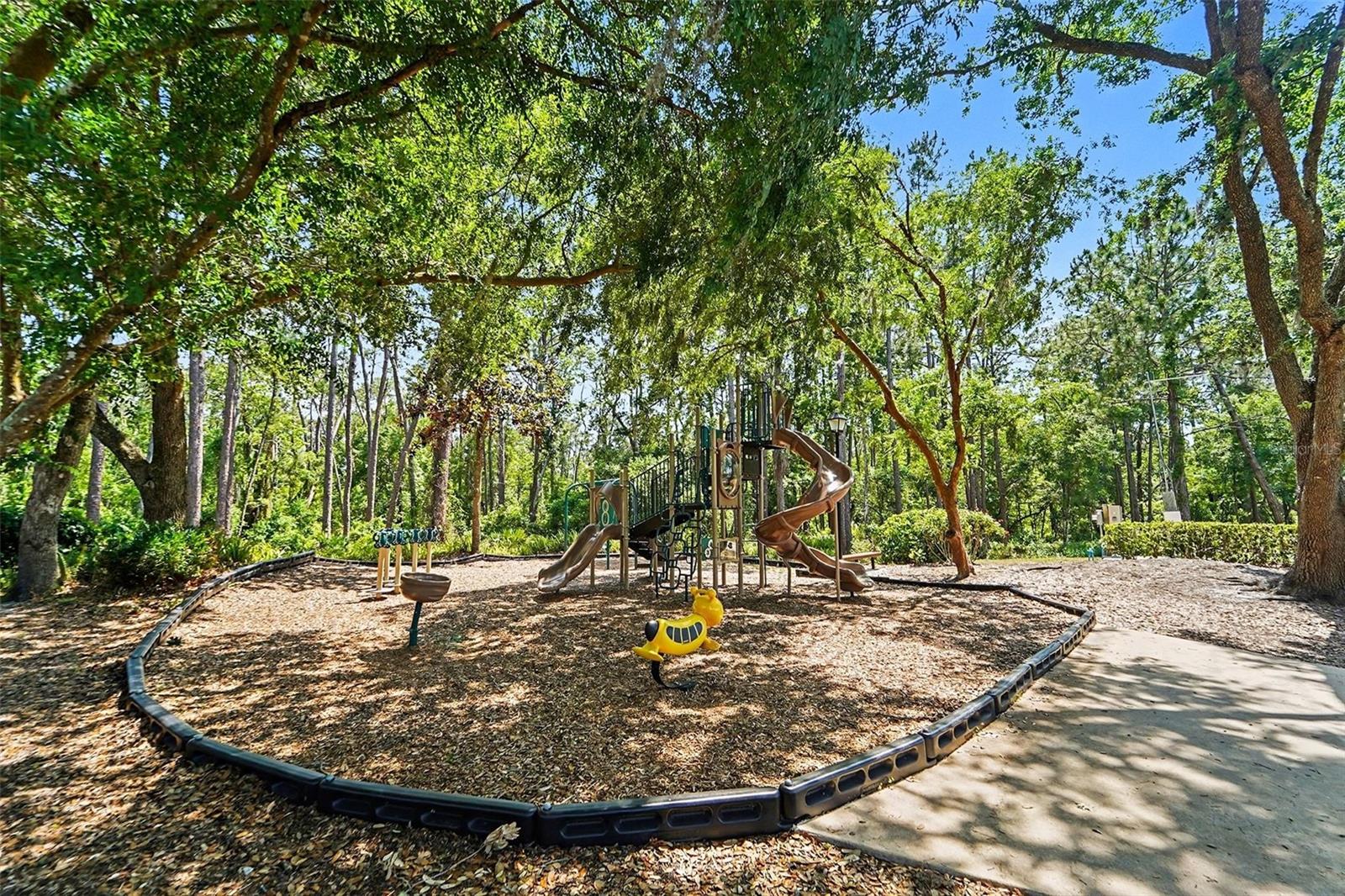 19717 WYNDHAM LAKES DR, ODESSA, FL, 33556