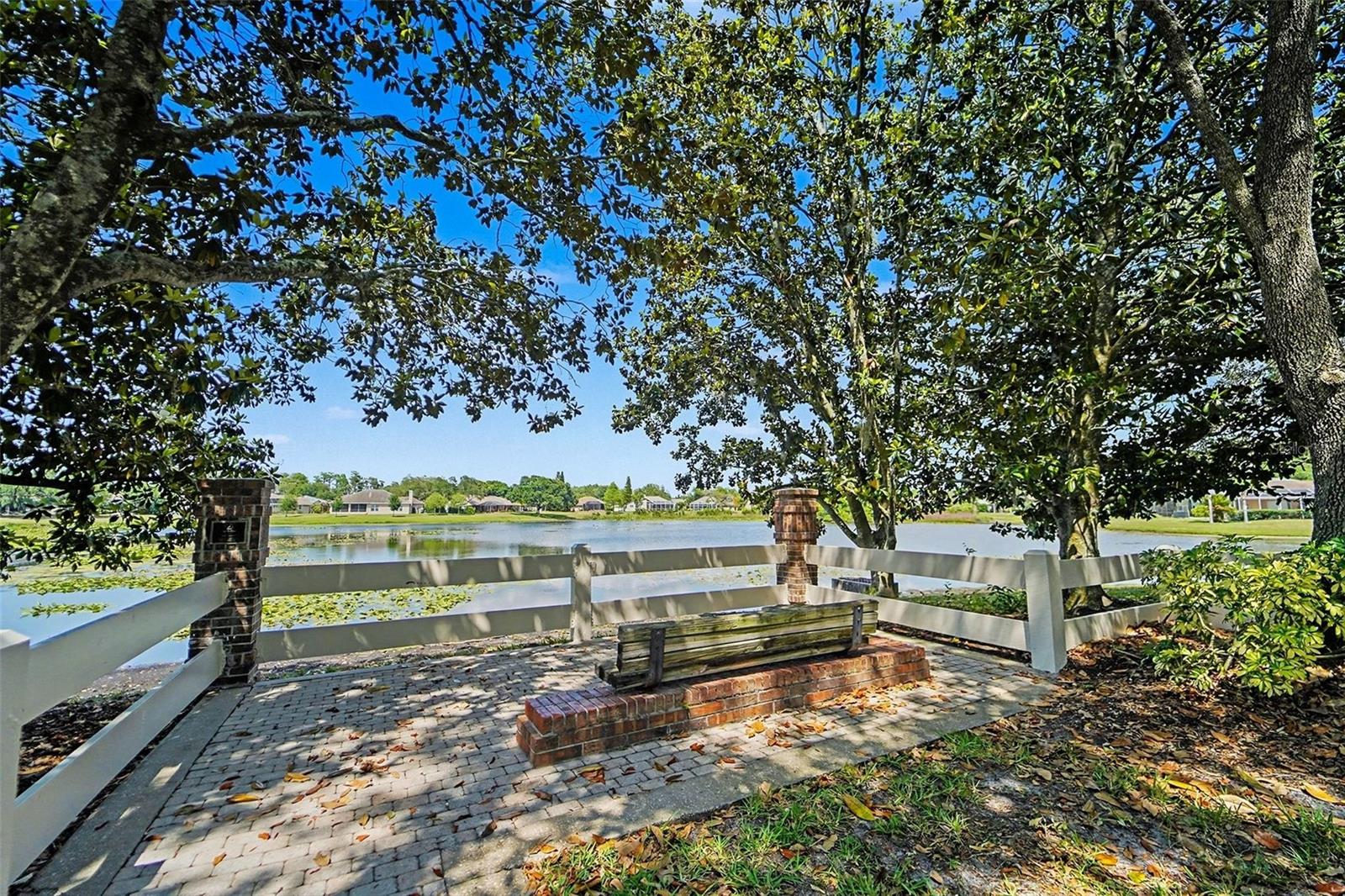 19717 WYNDHAM LAKES DR, ODESSA, FL, 33556