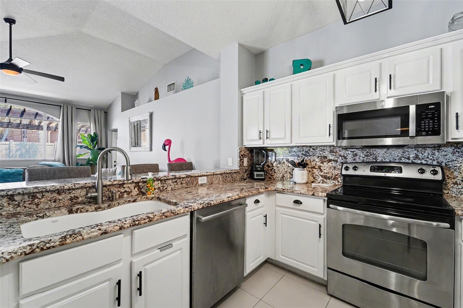 19717 WYNDHAM LAKES DR, ODESSA, FL, 33556