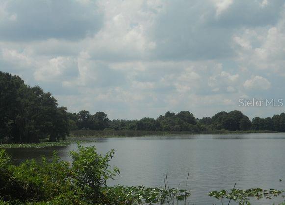 3975 VERSAILLES DR #3975F, ORLANDO, FL, 32808