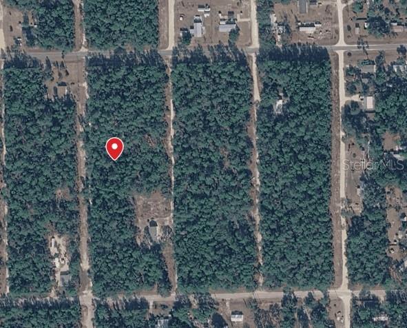 410 QUAIL HOLLOW RD, SATSUMA, FL, 32189