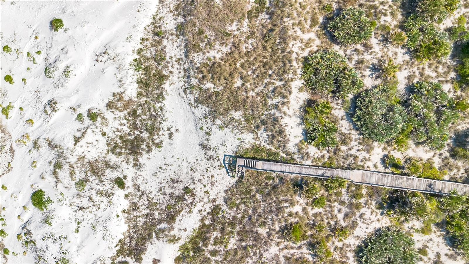 2117 OCEAN DR, NEW SMYRNA BEACH, FL, 32169