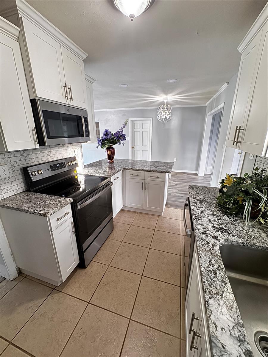 309 BELLE CLAIRE PL, TEMPLE TERRACE, FL, 33617