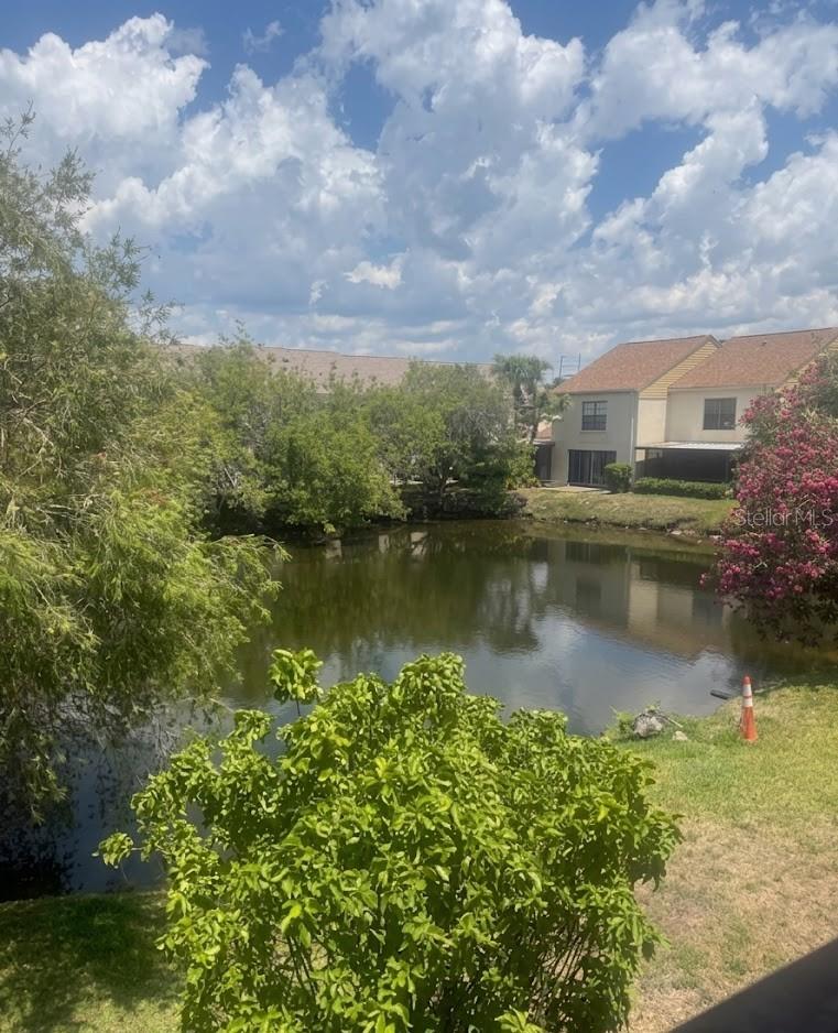 2401 GULL CT #L202, CLEARWATER, FL, 33762