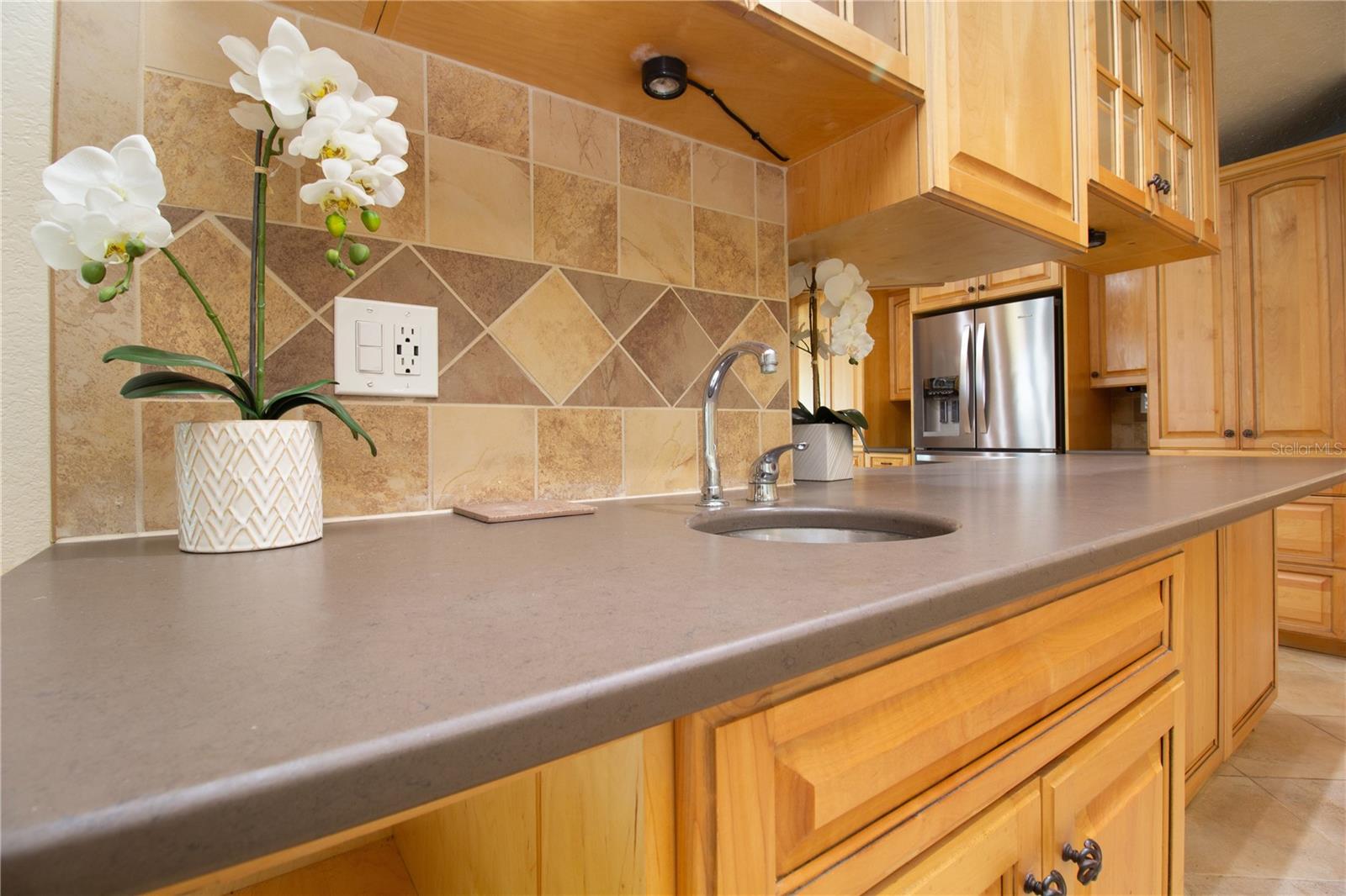 1656 BRAE MOOR LN, DUNEDIN, FL, 34698