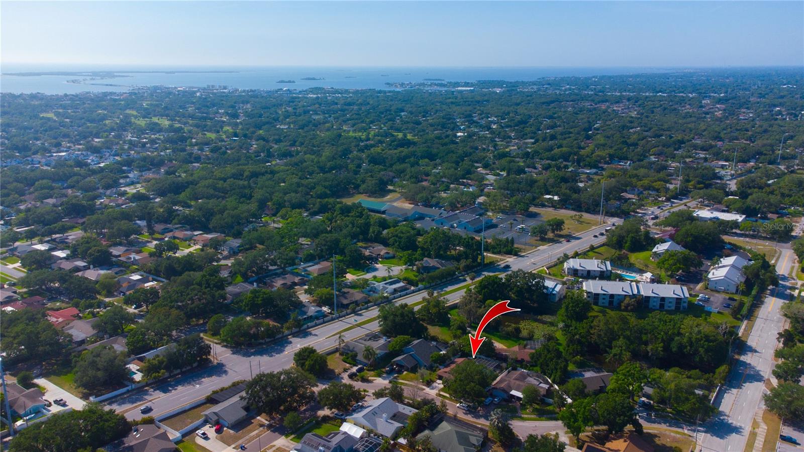 1656 BRAE MOOR LN, DUNEDIN, FL, 34698
