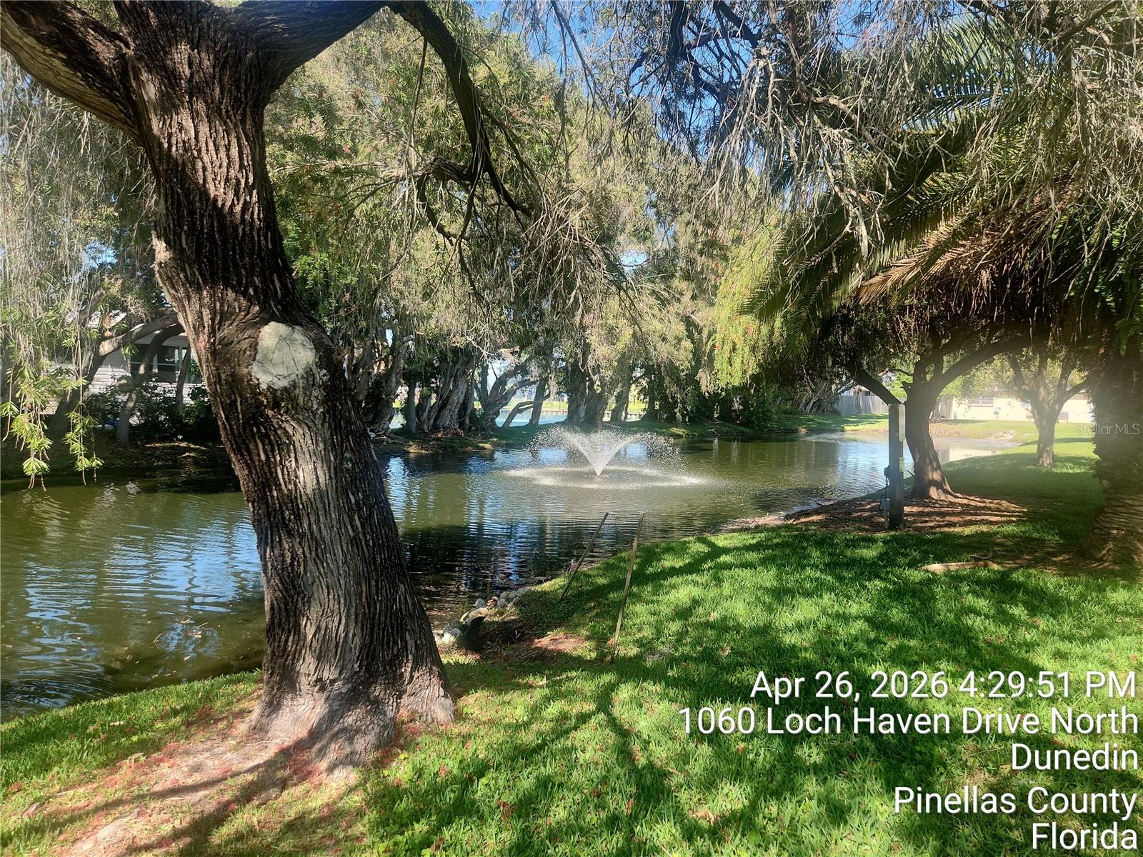 1064 LOCH HAVEN DR N #1064, DUNEDIN, FL, 34698